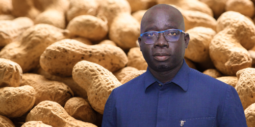 Electronics from Peanut Shells