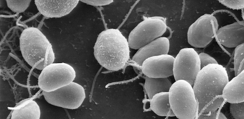 Cells Show “Personality” When They Move
