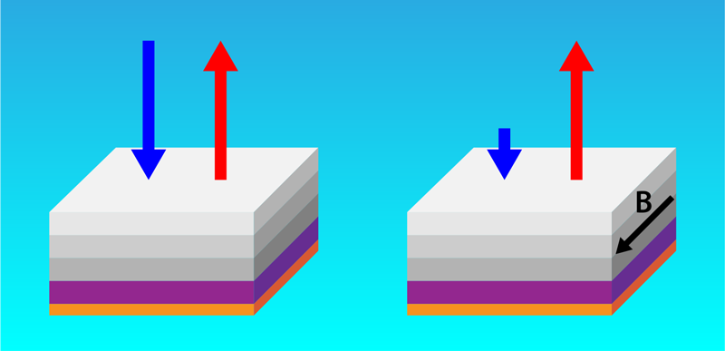 Figure caption