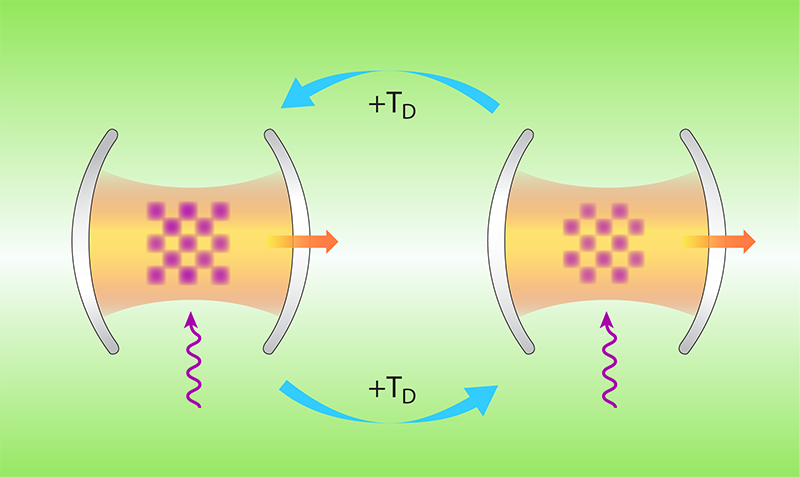 Figure caption